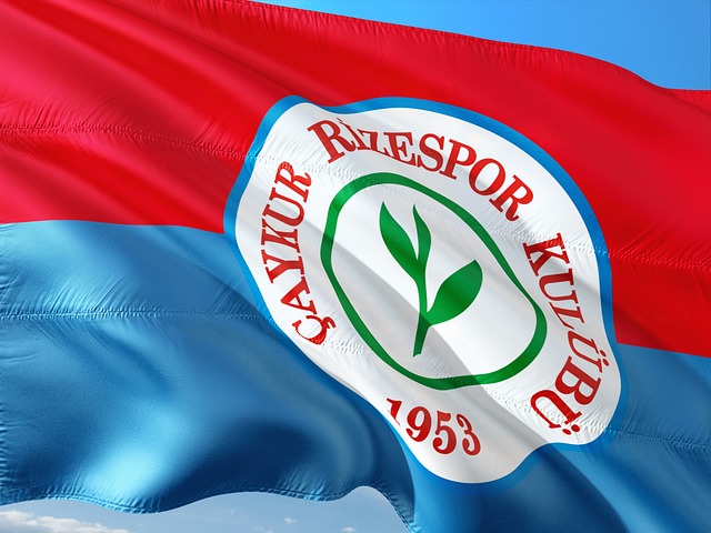 专业平台共创未来 第五届在日华侨华人高尔夫爱好者锦标赛圆满收杆